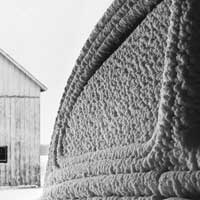 After the Storm-Volks in Garage, Mapleton, Mn